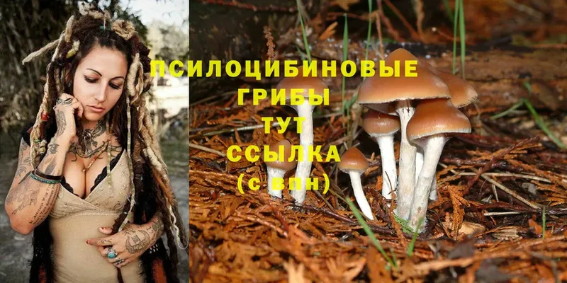 Галлюциногенные грибы Magic Shrooms  купить наркотики цена  Алейск 